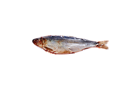 Сельдь «Рыбный ряд» слабосоленая, 0,5 - 0,7 кг