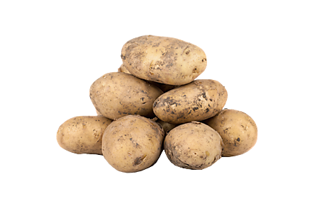 Картофель импорт