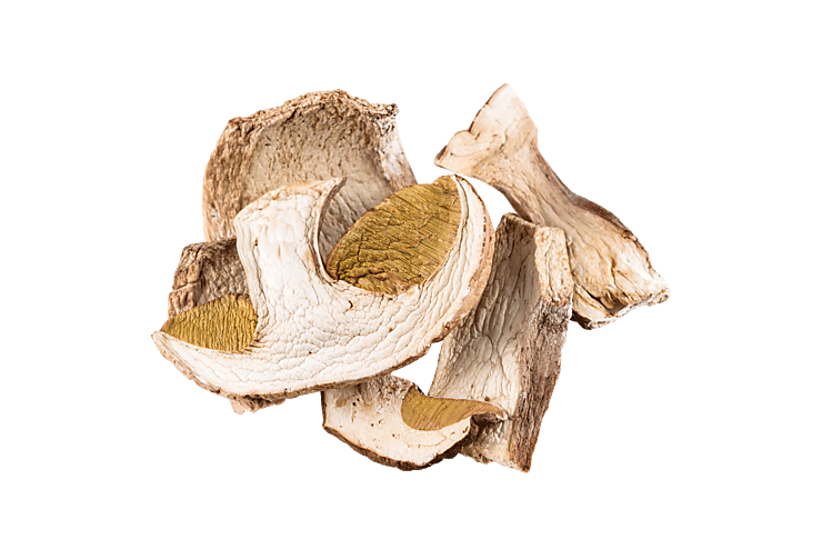 Белый гриб сушеный, 40 г