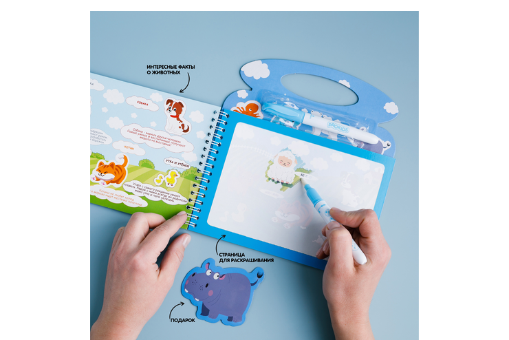 Многоразовая раскраска, животные